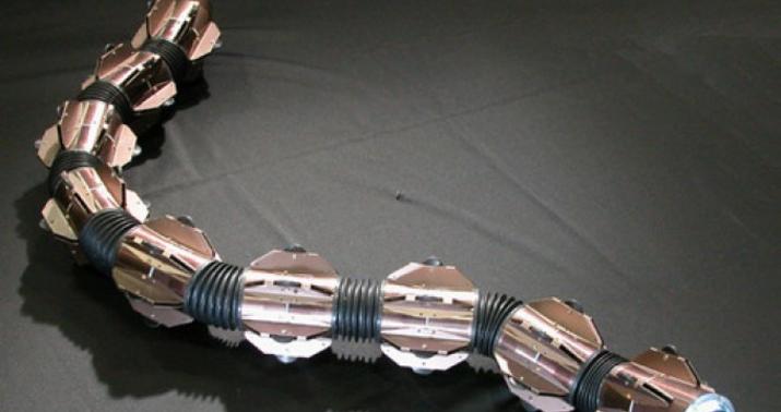 Nüvə reaktorunu öyrənən "ilan" robot